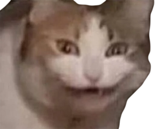 Стикер Эти ебучие коты