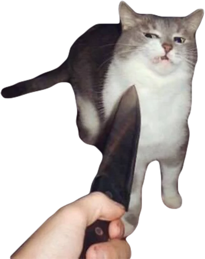 Стикер Эти ебучие коты