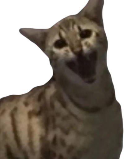 Стикер Эти ебучие коты