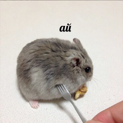 Стикер Это конец