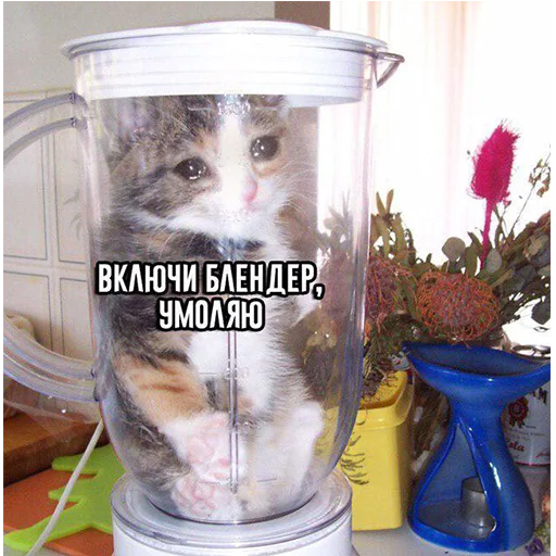 Стикер Это конец