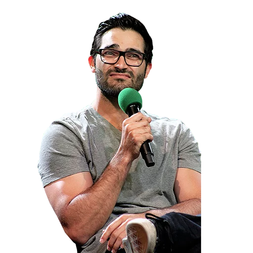Стикер Tyler Hoechlin WTF
