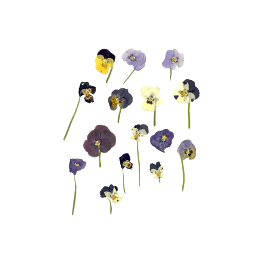 Стикер nydelig