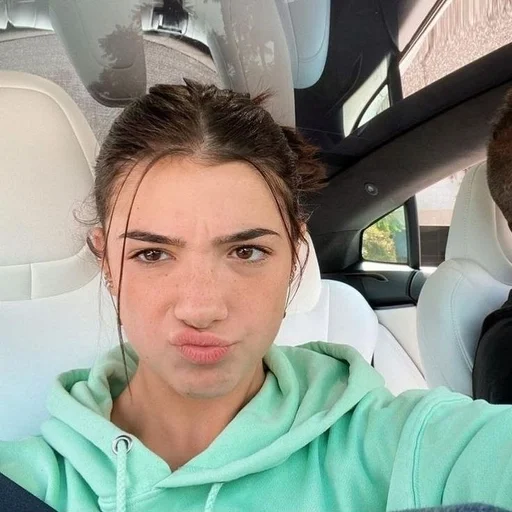 Стикер Чарли ДАмелио