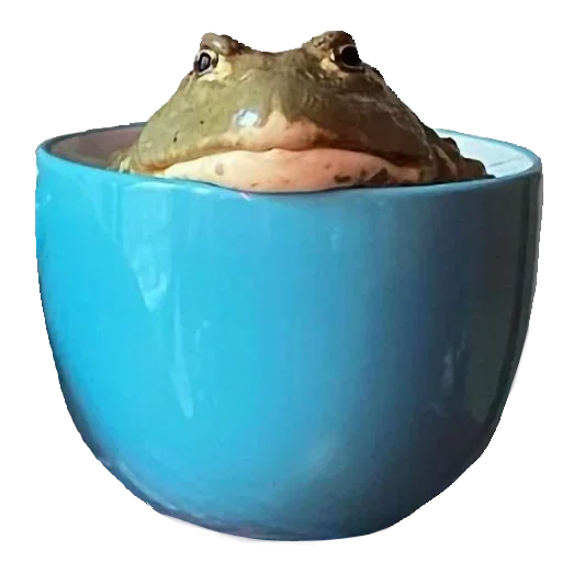 Стикер Toad