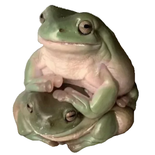 Стикер Toad