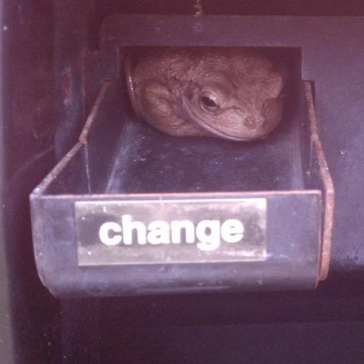 Стикер Toads and Frogs