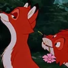 Эмодзи tod and vixey | Fox and the Hound