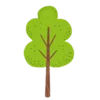 🌳