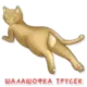Стикер Коты