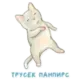 Стикер Коты