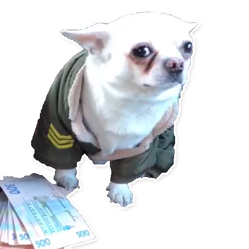 Стикер Цобакк