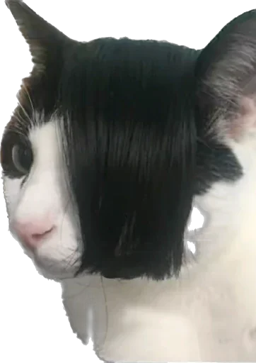 Стикер Скачать учебник алгебра 7 класс