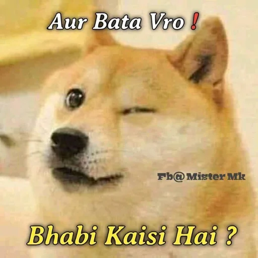 Стикер Shiba Memes