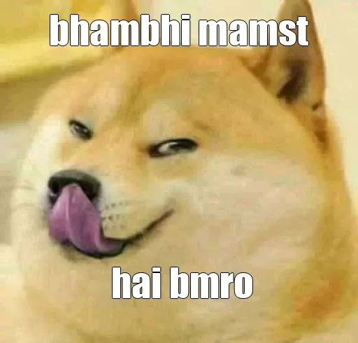 Стикер Shiba Memes