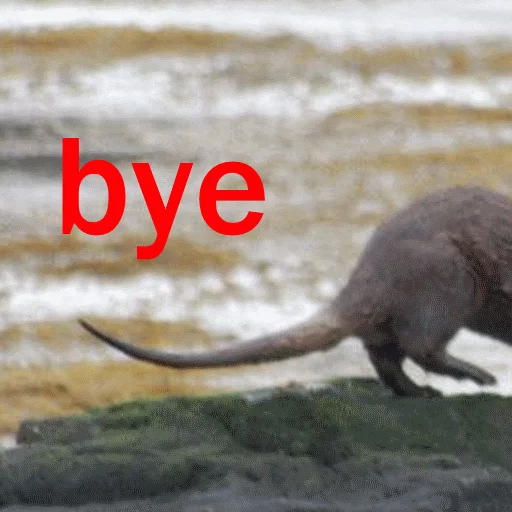 Стикер Ultra Lutra