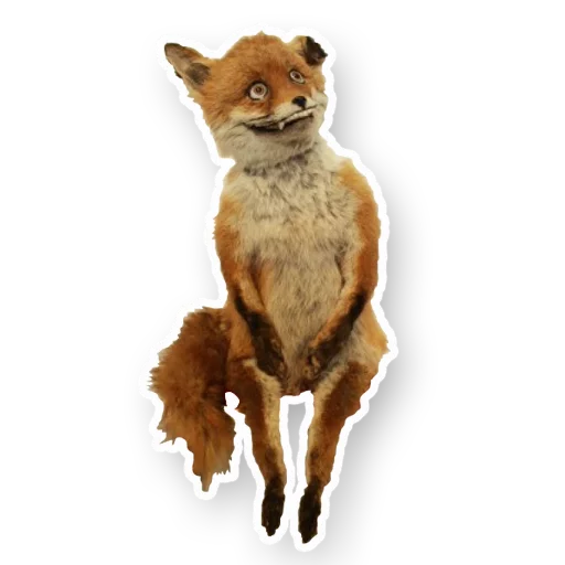 Стикер УпоротаяЛиса
