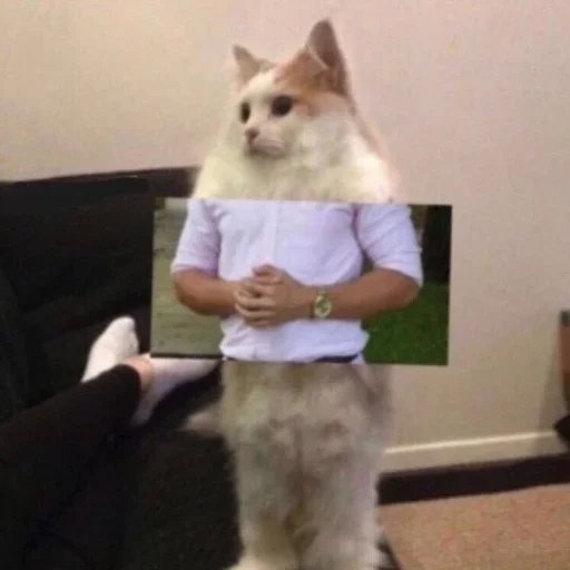 Стикер Увернулся от бана