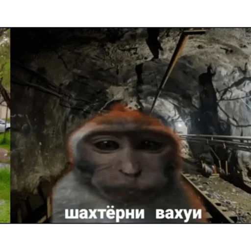 Стикер вахуи