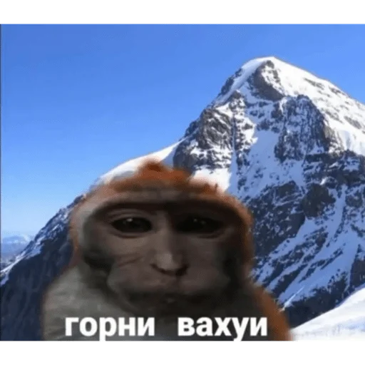 Стикер вахуи