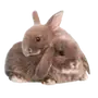 Эмодзи 14 февраля