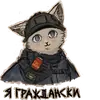 Стикер котики