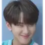 Эмодзи Stray Kids