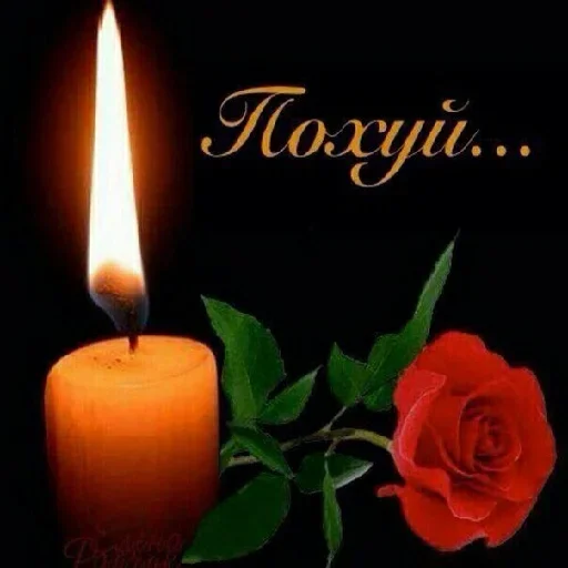 Стикер пиво