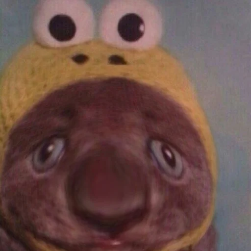 Стикер выпукиваем котов