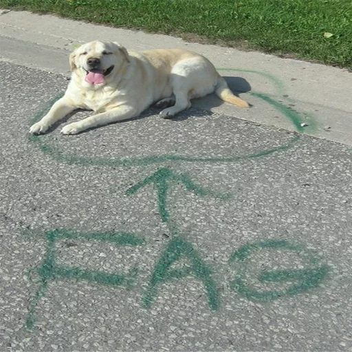 Стикер Всратые Коты