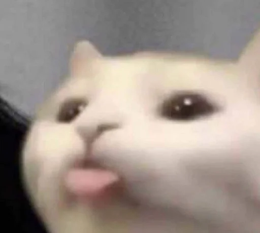 😛