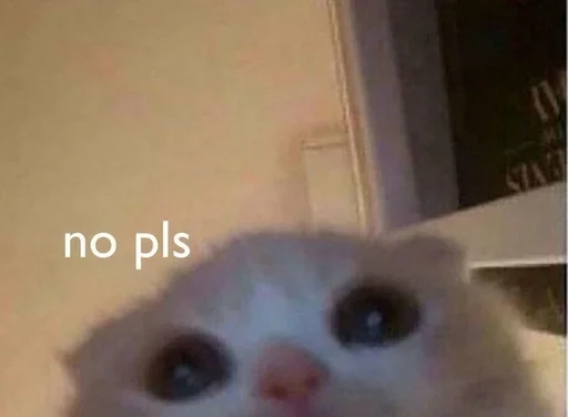 Стикер Cats memes