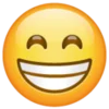 Эмодзи Whatsapp Emojis