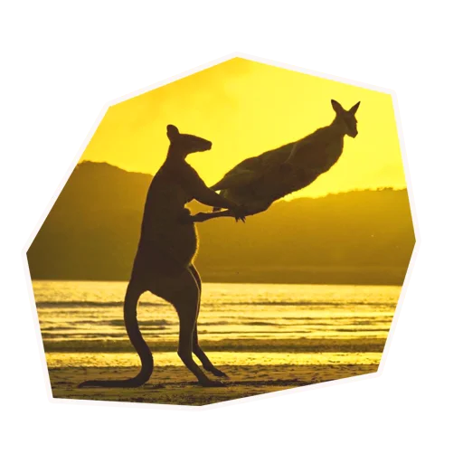 Стикер Анимал22