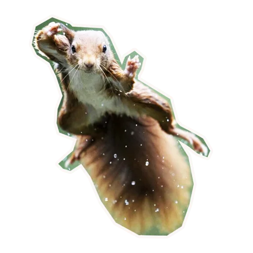 Стикер Анимал22