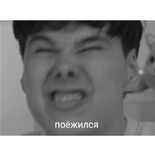 Стикер Windy31