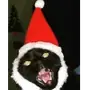 Эмодзи новогодние коты
