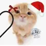 Эмодзи новогодние коты