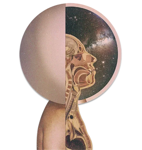 Стикер WoodCum