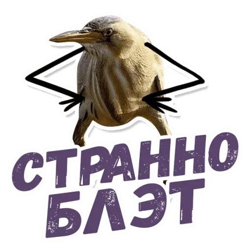 Стикер Так Блэт