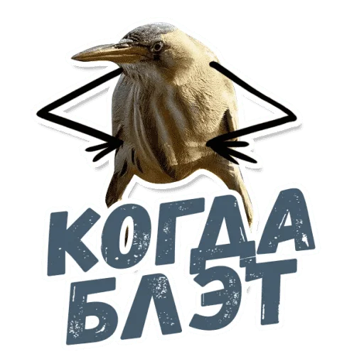 Стикер Так Блэт