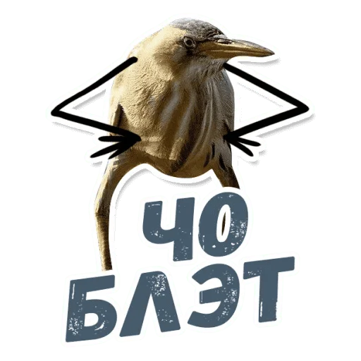 Стикер Так Блэт