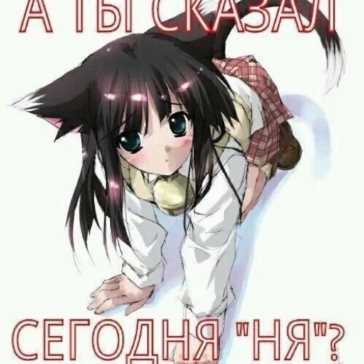 Стикер клёва