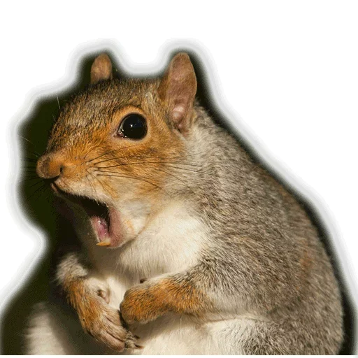 Стикер Approach