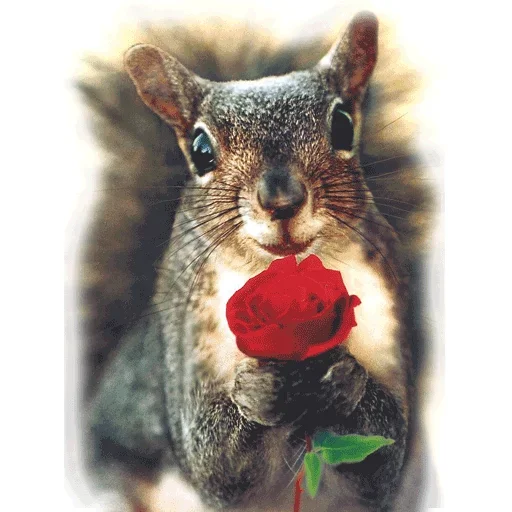 Стикер Approach