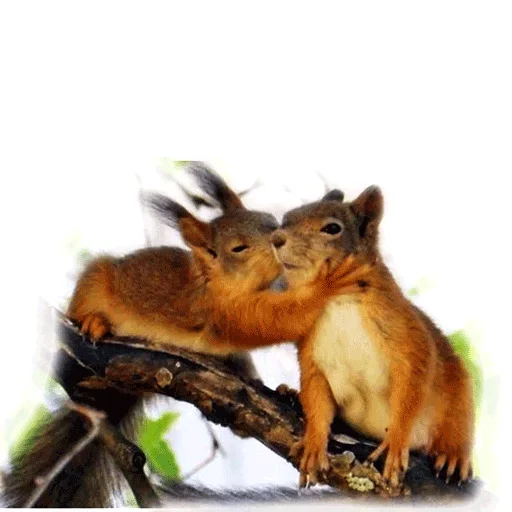 Стикер Approach