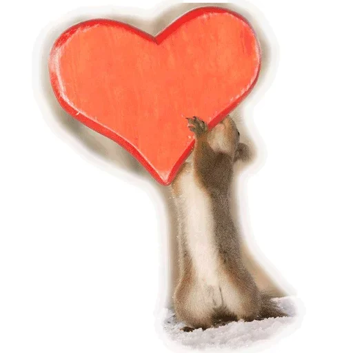 Стикер Approach