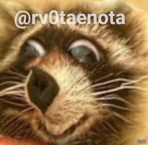 Стикер я писька?