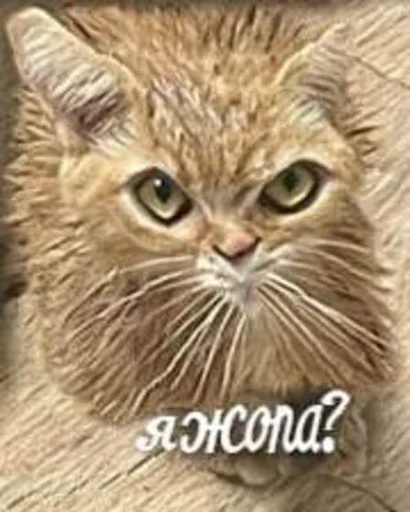 Стикер я писька?