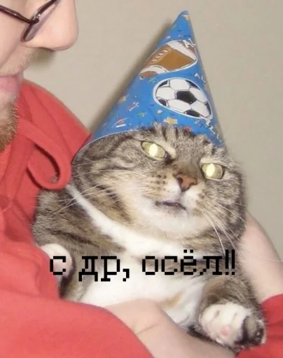 Стикер иди нахер